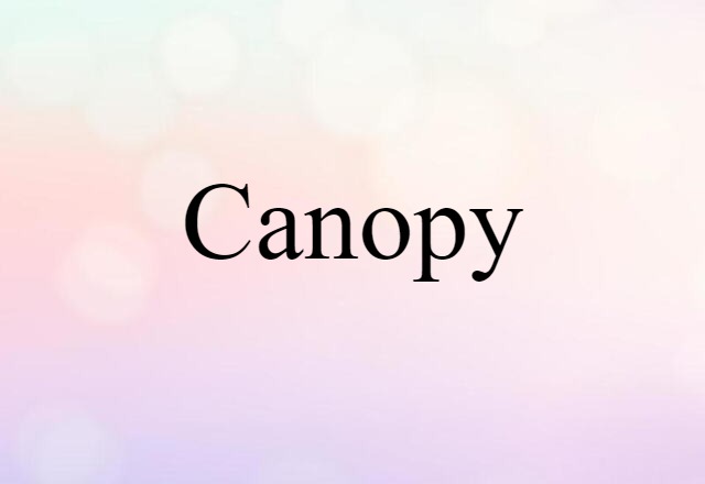 canopy