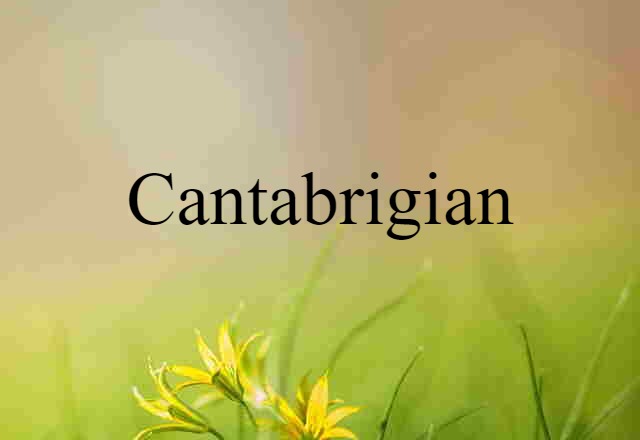 Cantabrigian (noun) Definition, Meaning & Examples