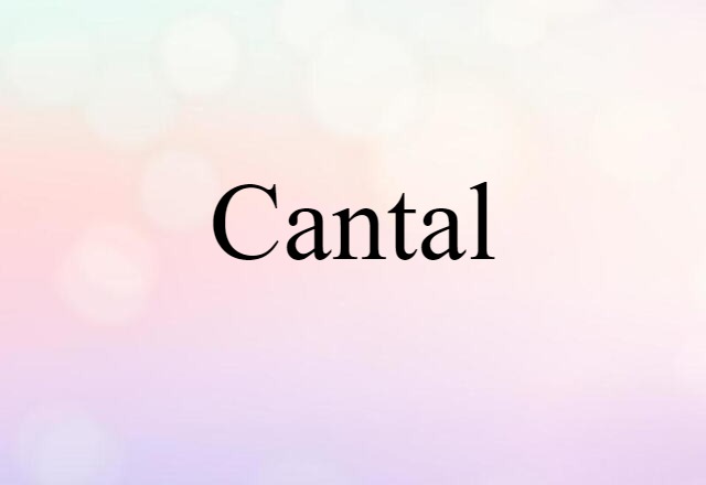 Cantal (noun) Definition, Meaning & Examples