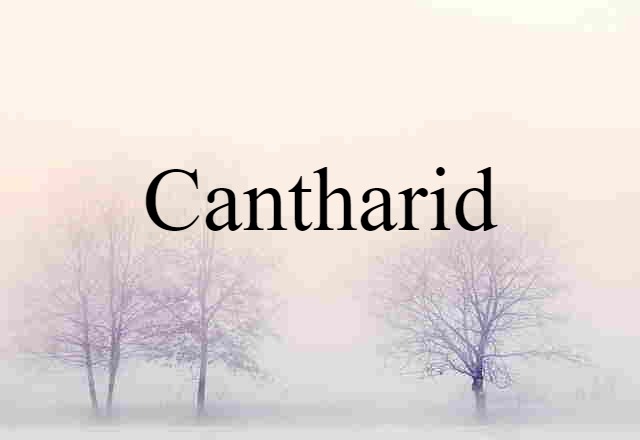 cantharid