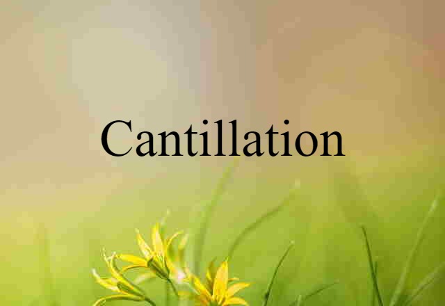 Cantillation (noun) Definition, Meaning & Examples