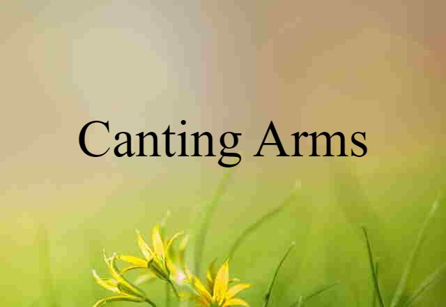 Canting Arms (noun) Definition, Meaning & Examples