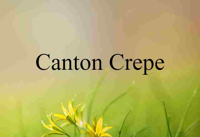 Canton Crepe (noun) Definition, Meaning & Examples