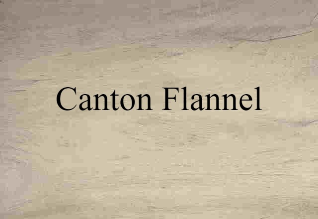 Canton Flannel (noun) Definition, Meaning & Examples