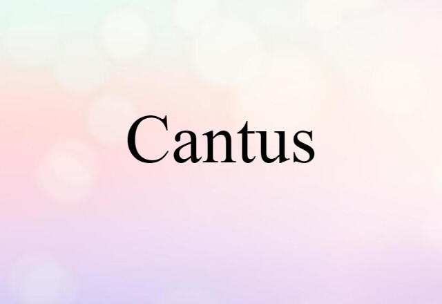 cantus