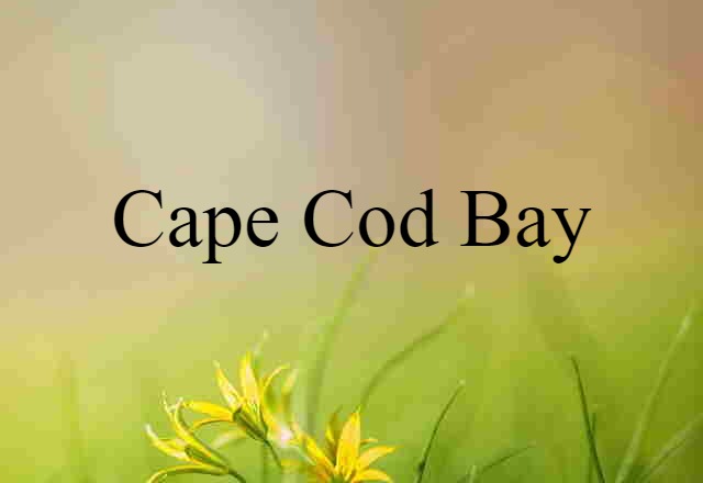 Cape Cod Bay (noun) Definition, Meaning & Examples