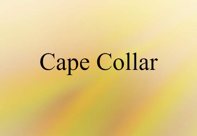 Cape Collar (noun) Definition, Meaning & Examples