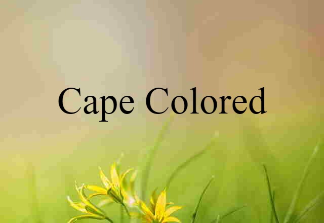 Cape Colored (noun) Definition, Meaning & Examples