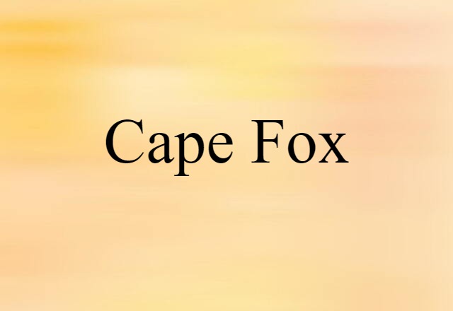 Cape Fox (noun) Definition, Meaning & Examples