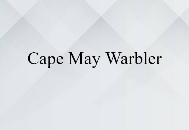 Cape May Warbler (noun) Definition, Meaning & Examples