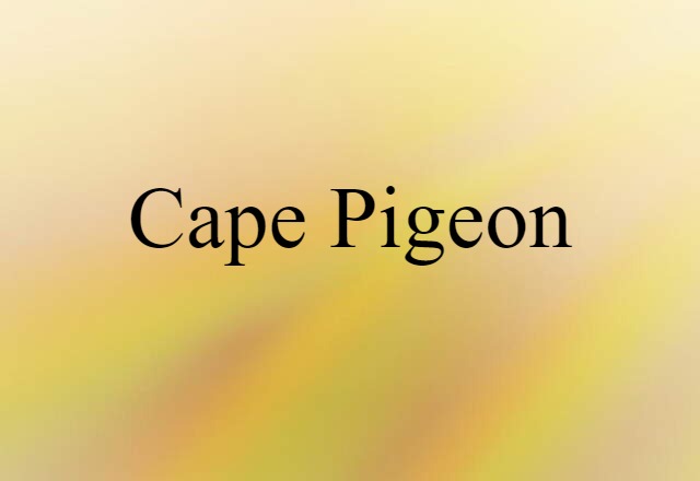 Cape pigeon