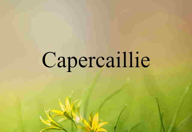 Capercaillie (noun) Definition, Meaning & Examples