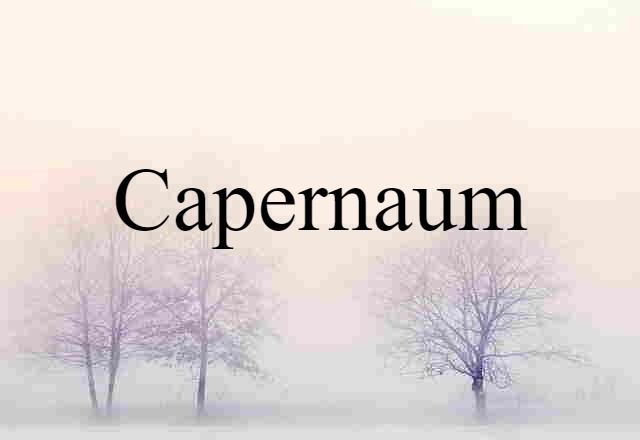 Capernaum (noun) Definition, Meaning & Examples