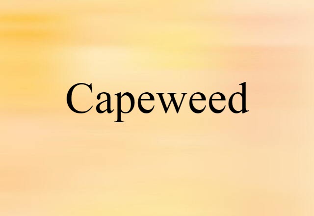 capeweed