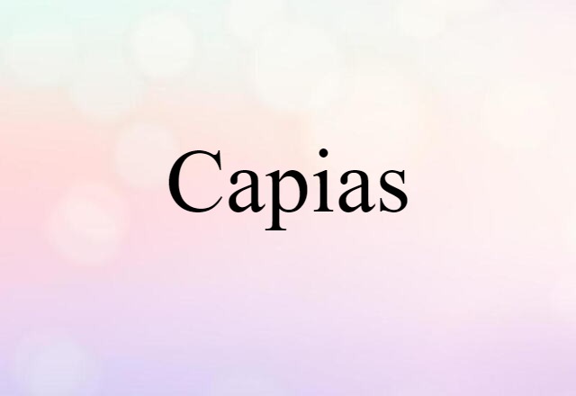 Capias (noun) Definition, Meaning & Examples