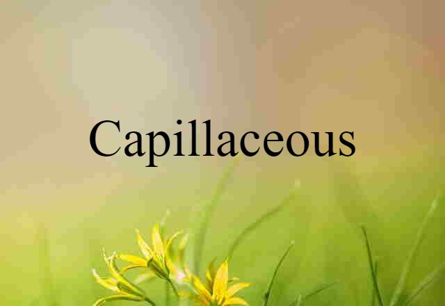 capillaceous