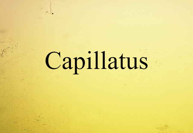 capillatus