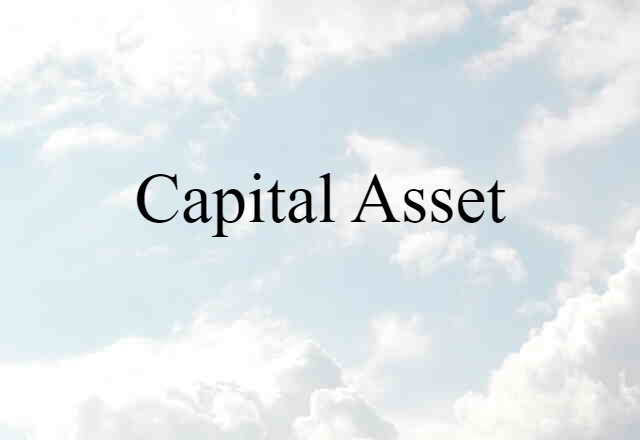 Capital Asset (noun) Definition, Meaning & Examples