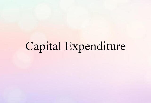 capital expenditure