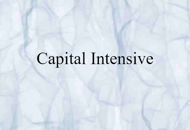 capital-intensive