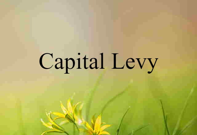 capital levy