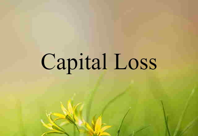 capital loss