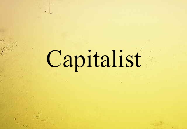 Capitalist (noun) Definition, Meaning & Examples