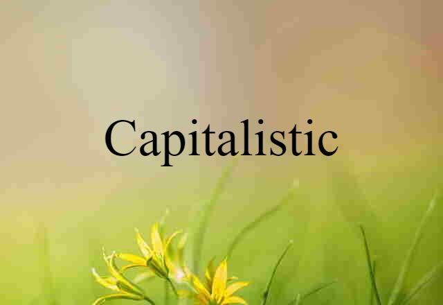 Capitalistic (noun) Definition, Meaning & Examples