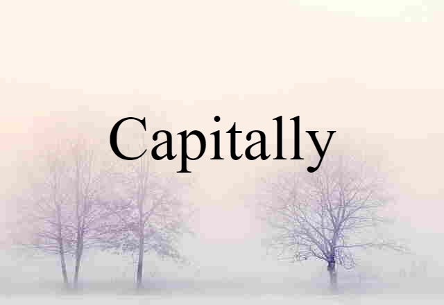 Capitally (noun) Definition, Meaning & Examples