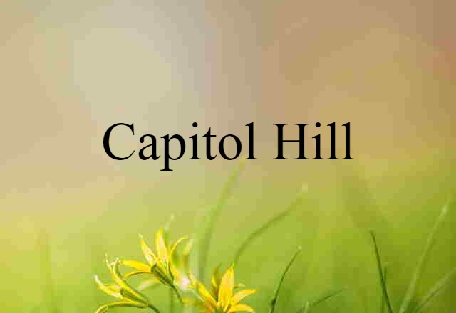 Capitol Hill