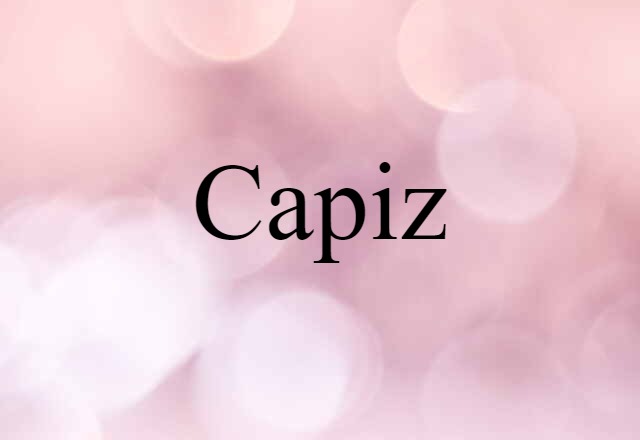 Capiz (noun) Definition, Meaning & Examples