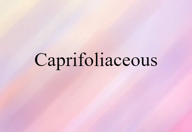 Caprifoliaceous (noun) Definition, Meaning & Examples