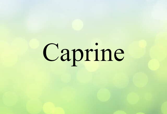 caprine