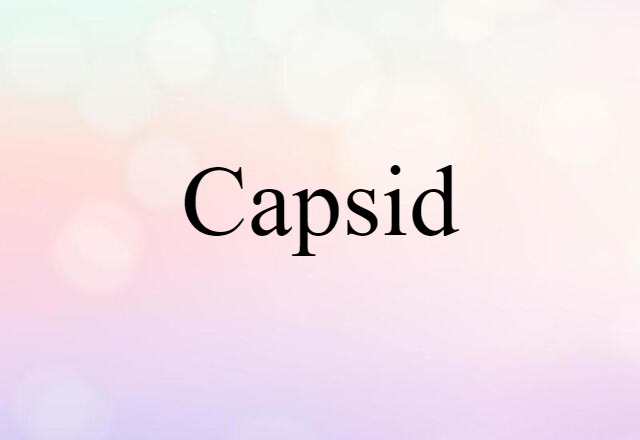 capsid