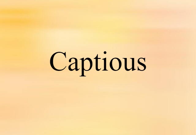 Captious (noun) Definition, Meaning & Examples