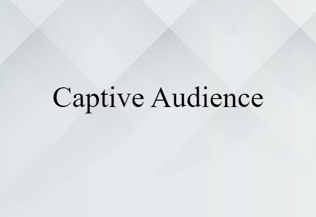 Captive Audience (noun) Definition, Meaning & Examples