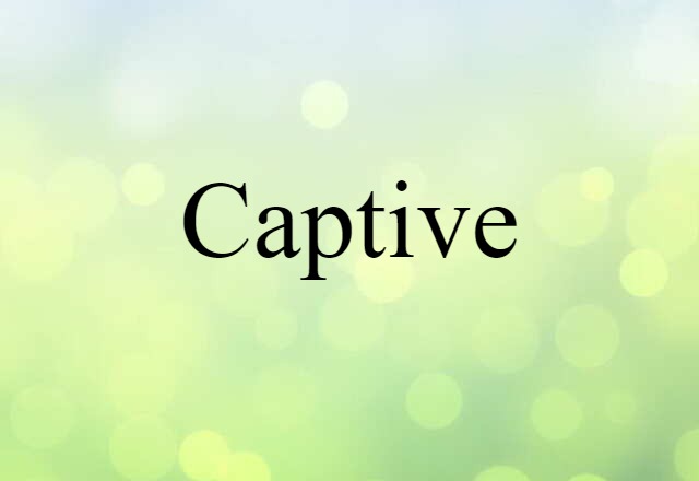 Captive (noun) Definition, Meaning & Examples