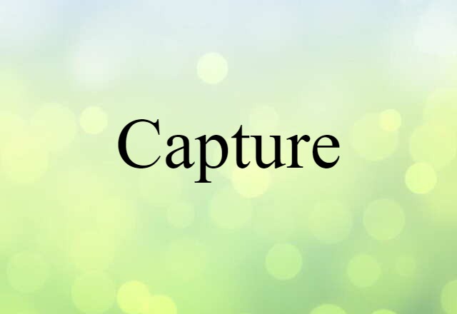 Capture (noun) Definition, Meaning & Examples