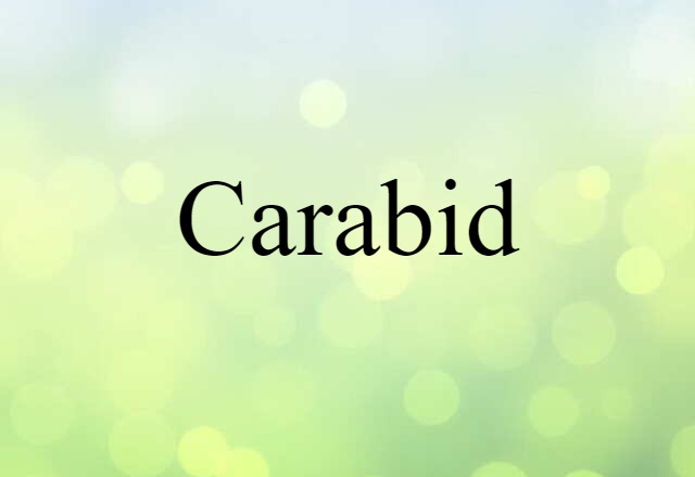 Carabid (noun) Definition, Meaning & Examples