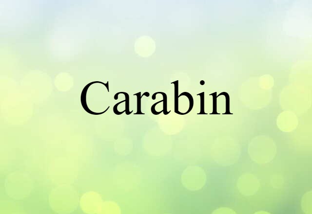 Carabin (noun) Definition, Meaning & Examples