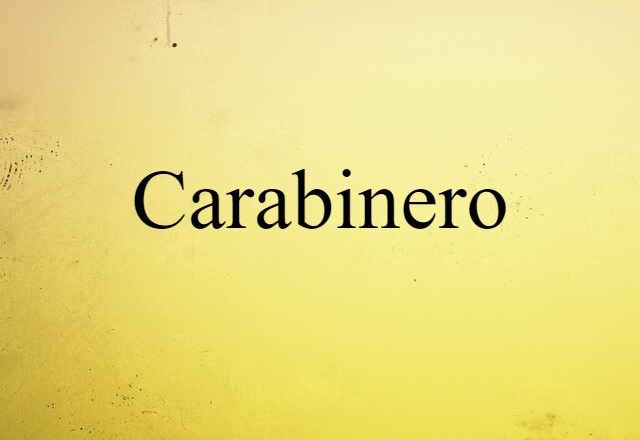 Carabinero (noun) Definition, Meaning & Examples