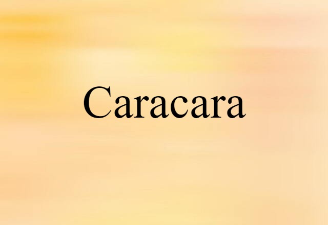 Caracara (noun) Definition, Meaning & Examples