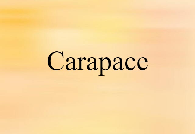 Carapace (noun) Definition, Meaning & Examples