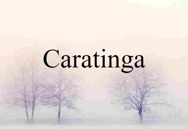 Caratinga (noun) Definition, Meaning & Examples