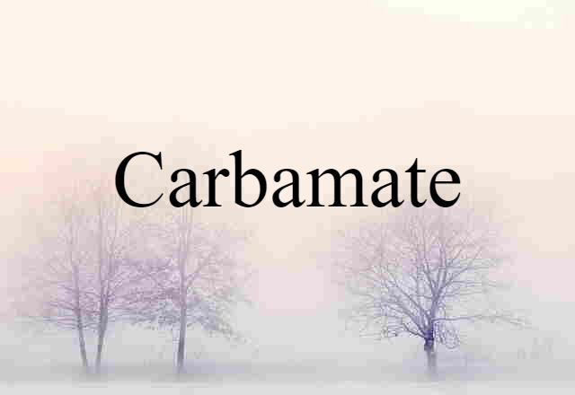 Carbamate (noun) Definition, Meaning & Examples