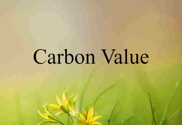 Carbon Value (noun) Definition, Meaning & Examples