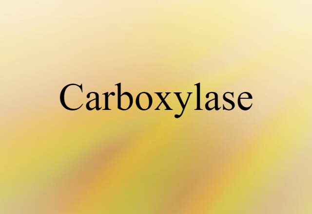 Carboxylase (noun) Definition, Meaning & Examples