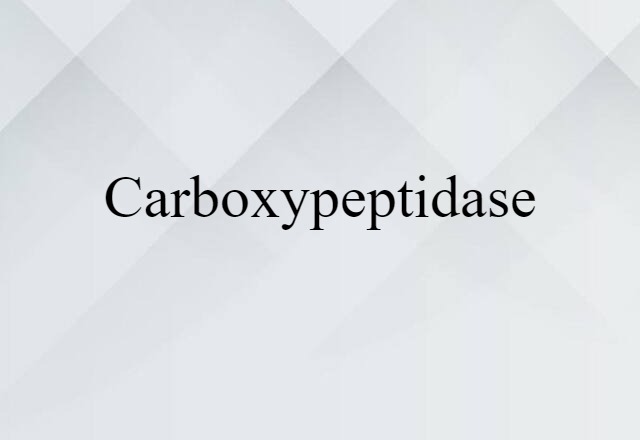 Carboxypeptidase (noun) Definition, Meaning & Examples