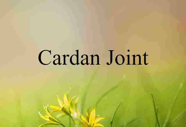 Cardan Joint (noun) Definition, Meaning & Examples