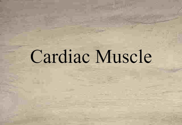 Cardiac Muscle (noun) Definition, Meaning & Examples